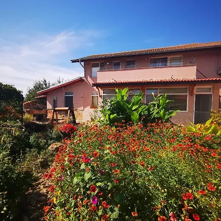 Guest House Ezerets Penzion *
